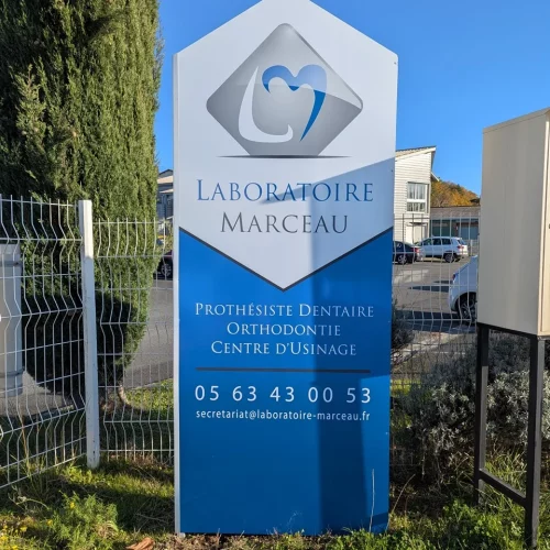 PXL_20241127_141305677
